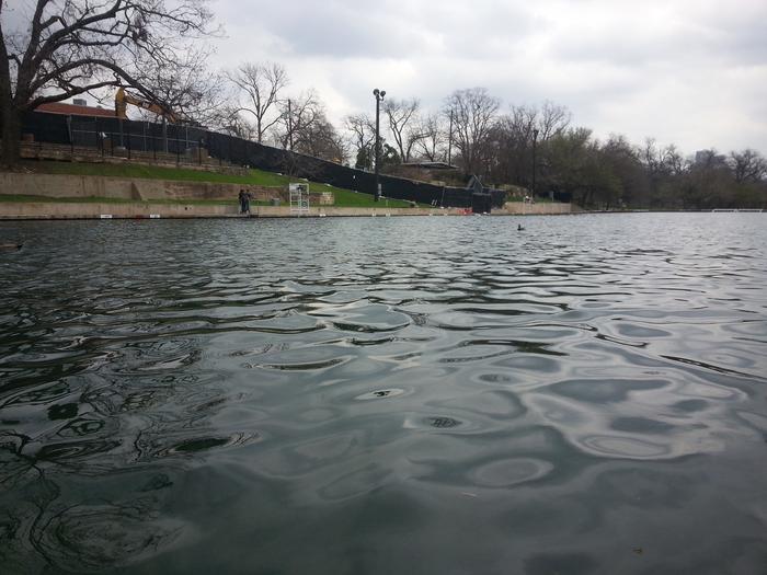 a duck visiting an uncrowded barton springs pool