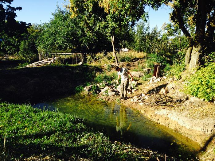 October, harvesting carrots and washing in the pond