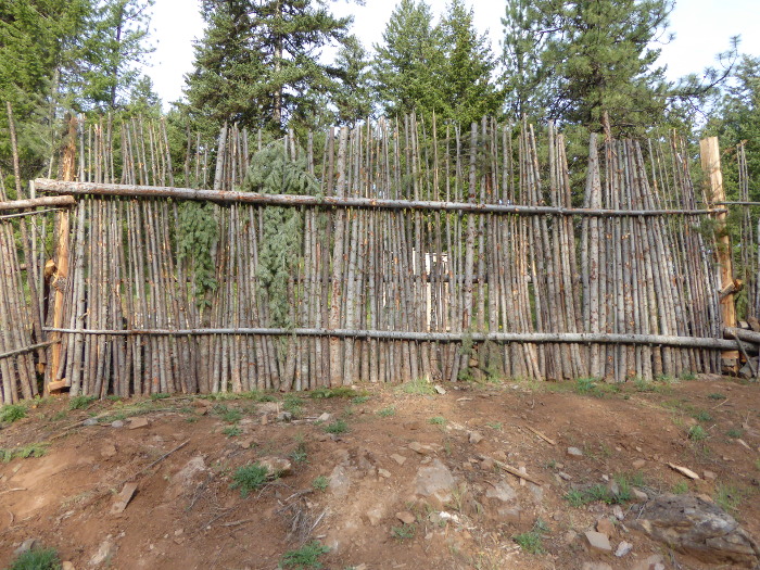 junkpole fence: freaky cheap chicken/deer fence made from 