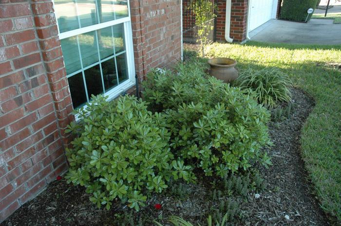 [Thumbnail for image.jpg]