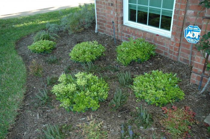 [Thumbnail for image.jpg]