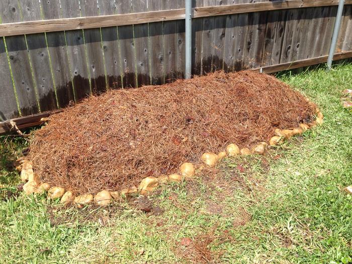 then chicken maneur, cow manure and some homemade compost