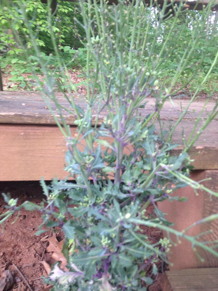 [Thumbnail for image.jpg]