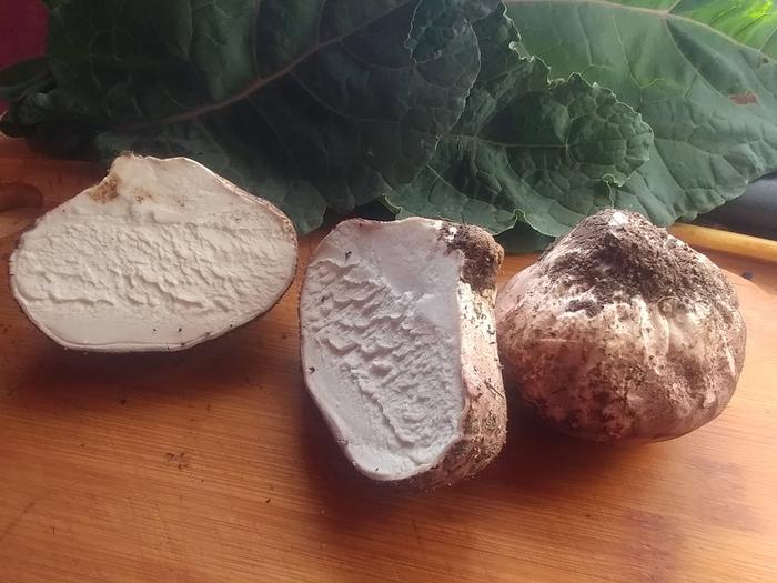 [Thumbnail for puffballs-and-galega-cabbage.jpg]