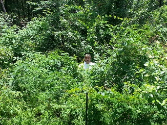 [Thumbnail for Rick-in-Secret-Garden-of-Survival-1a.jpg]
