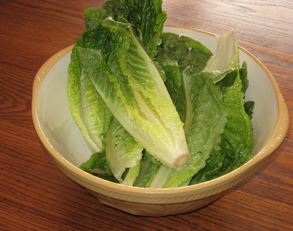 [Thumbnail for Winter-Lettuce-from-Greenhouse.jpg]