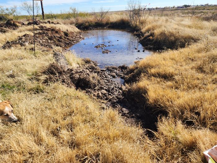 Drainage basin for driveway by house.