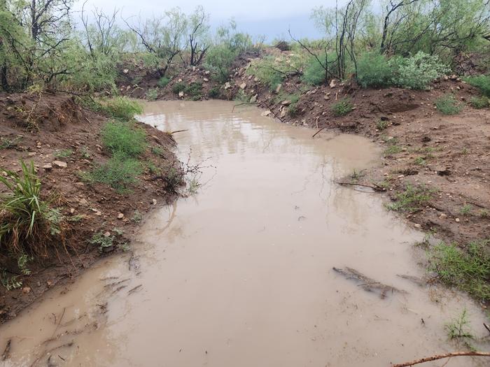 My midway drainage basin almost filled to fill into a bigger basin of the rain.