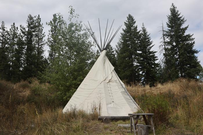 Teepee with cottonwood