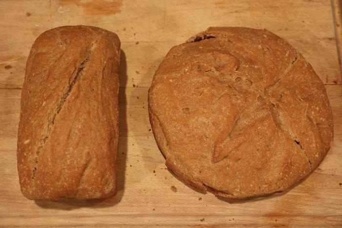 ww sourdough bread