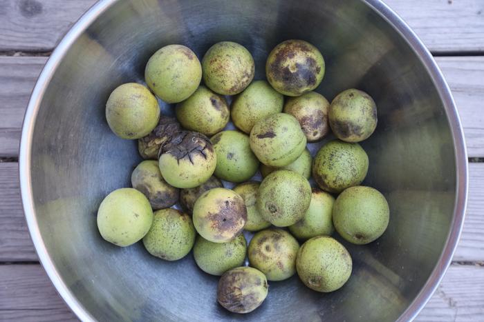 Black walnuts