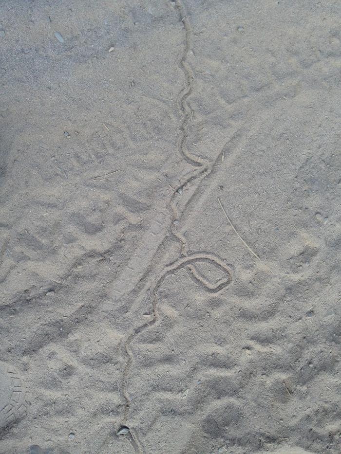 mystery track