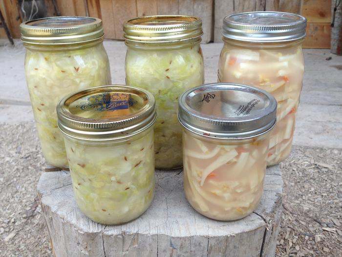 ferments