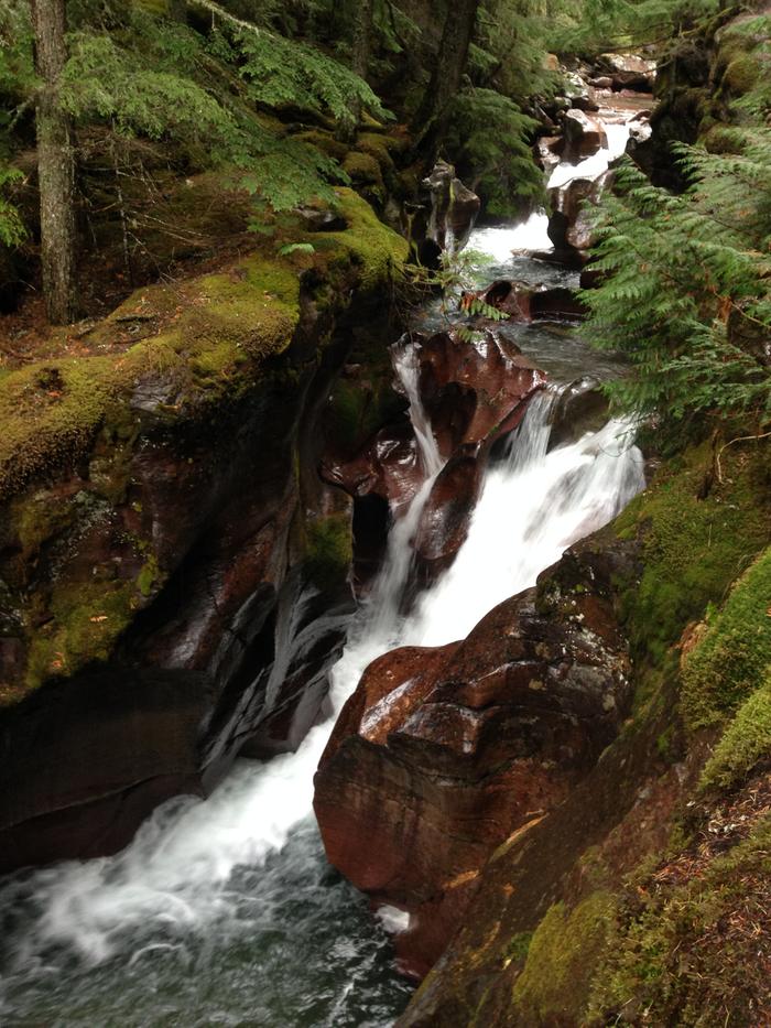 Avalanche Creek - Glacier National Park