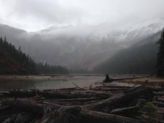 Avalance Lake - Glacier National Park