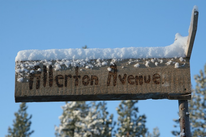 [Thumbnail for Allerton_avenue_sign.jpg]