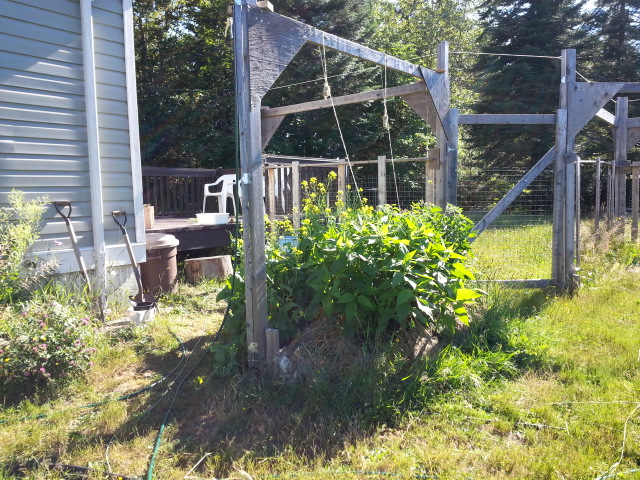 [Thumbnail for 2016-06-26-09.22.37.jpg]