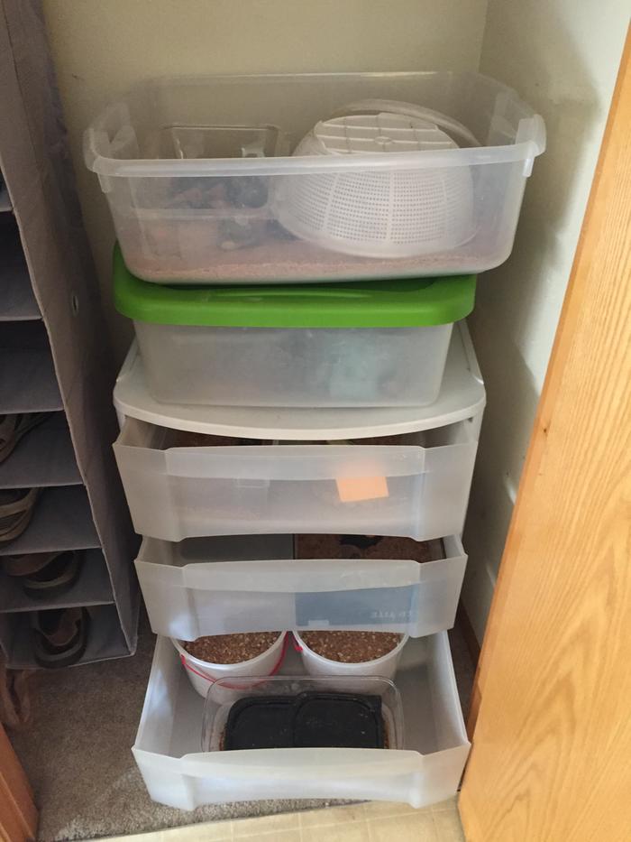 [Thumbnail for IMG_7248.JPG]