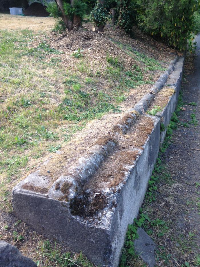 [Thumbnail for 2015-07-13-18.55.01.jpg]