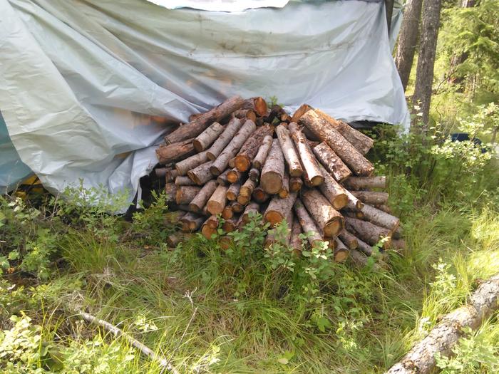 circular stack of firewood