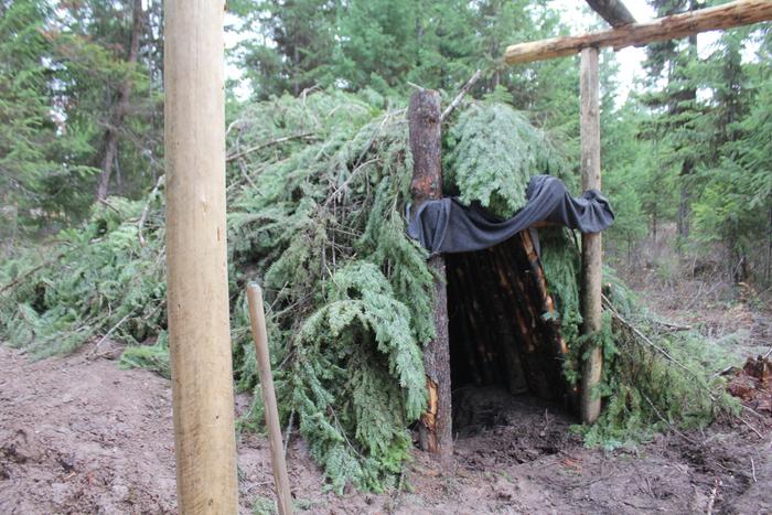 bear den debris shelter house