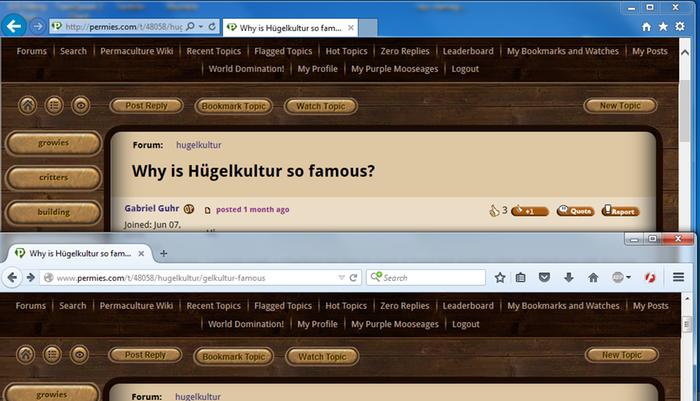 [Thumbnail for IE-vs-Firefox-Buttons.png]