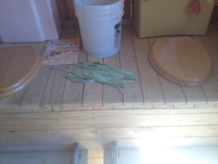 [Thumbnail for 240.JPG]