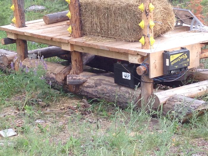 [Thumbnail for IMG_0455.JPG]