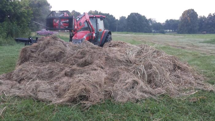 [Thumbnail for 20150803_064312.jpg]