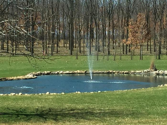 [Thumbnail for image.jpg]