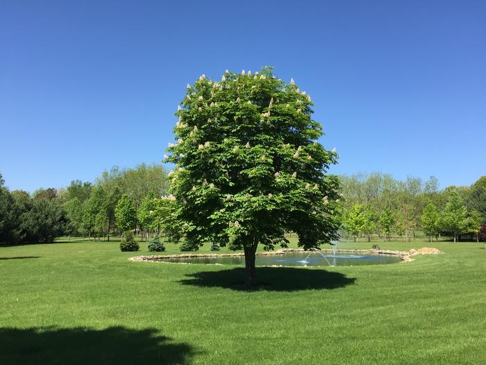 [Thumbnail for image.jpg]