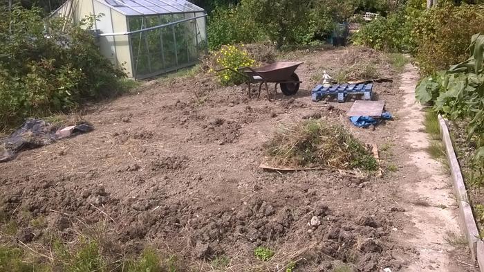 [Thumbnail for Allotment-length-half-dug.jpg]