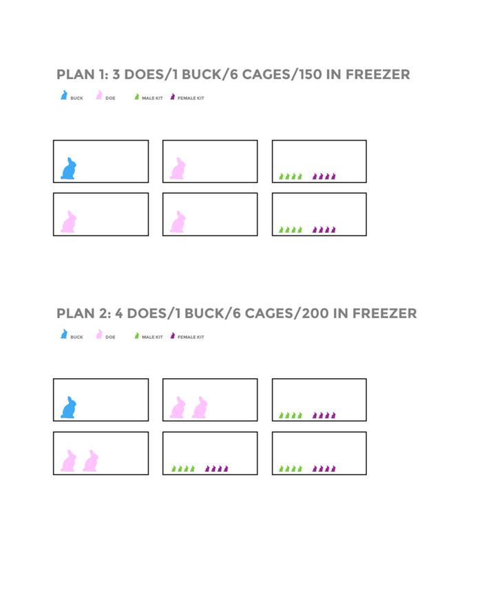[Thumbnail for cage-plan1.jpg]
