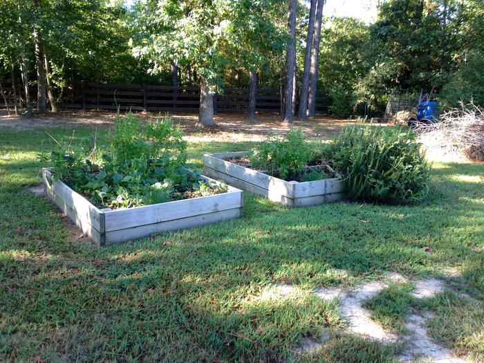 the raised beds