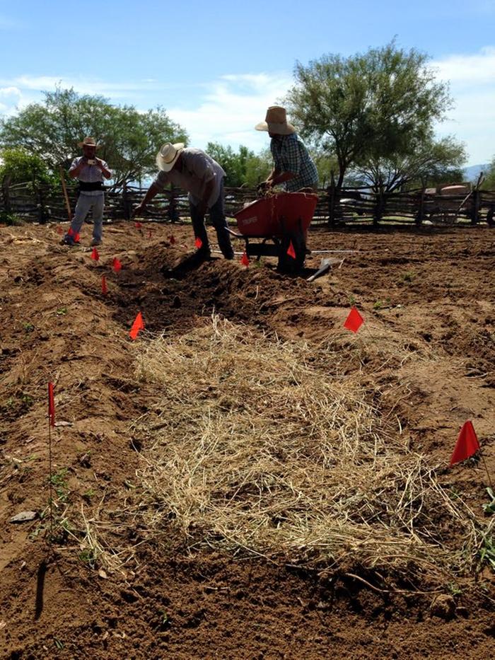 [Thumbnail for 11058665_10207956561621117_8062451531603068658_n.jpg]