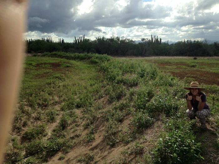 [Thumbnail for 12115600_10208293698209321_1036124237320879531_n.jpg]