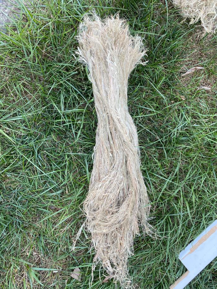 The nettle fibers after braking and scutching.