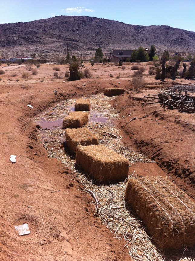 [Thumbnail for swale-before.jpg]