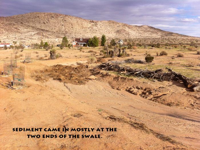 [Thumbnail for swale2.jpg]