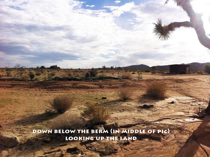 [Thumbnail for swale3.jpg]