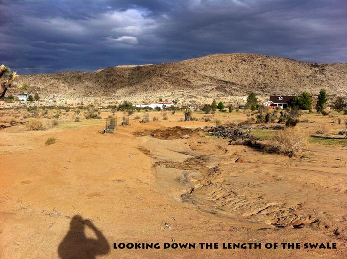 [Thumbnail for swale5.jpg]