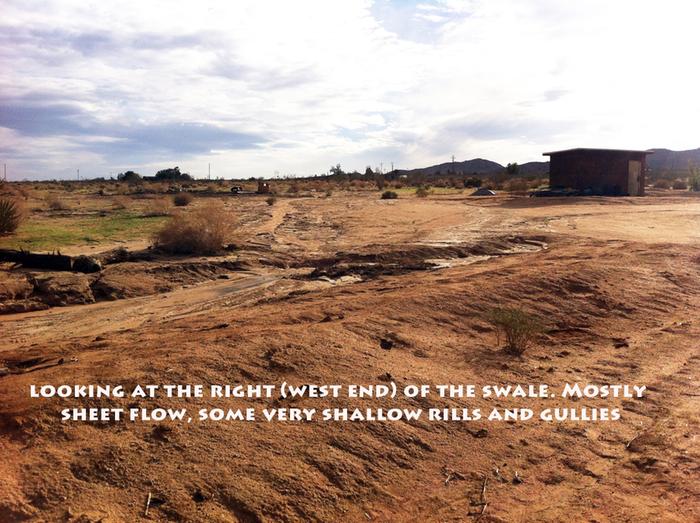 [Thumbnail for swale6.jpg]