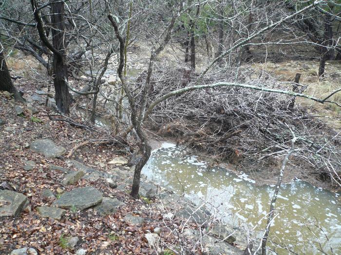 Brush dam washed out a little