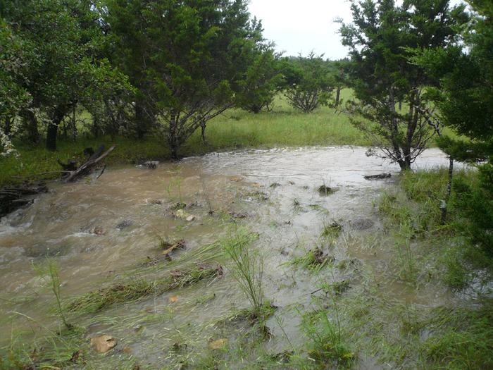 Runoff issues from upper creek