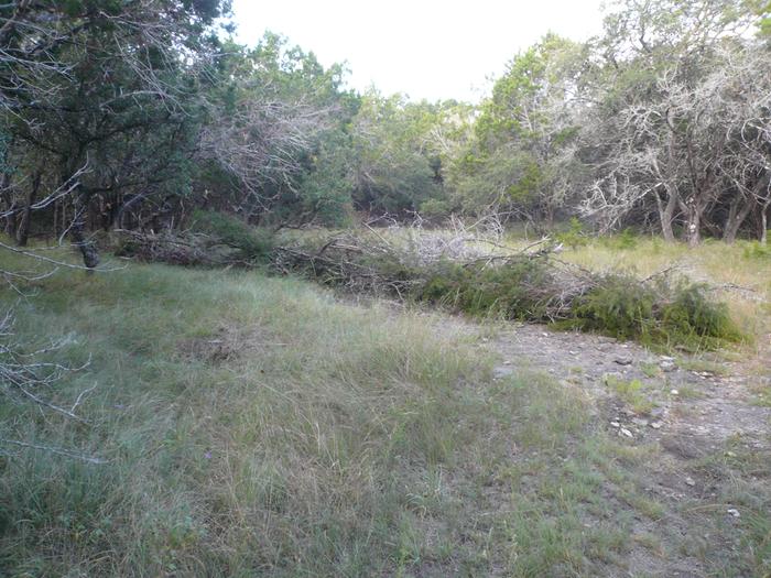 Long brush dam under construction