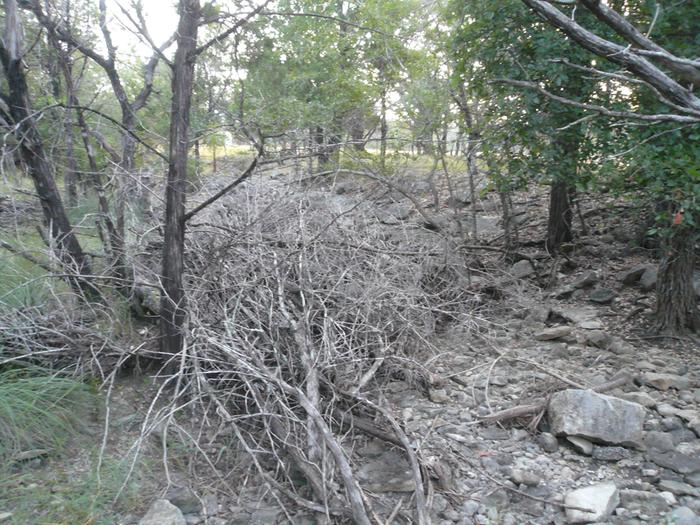 Old brush dam being improved