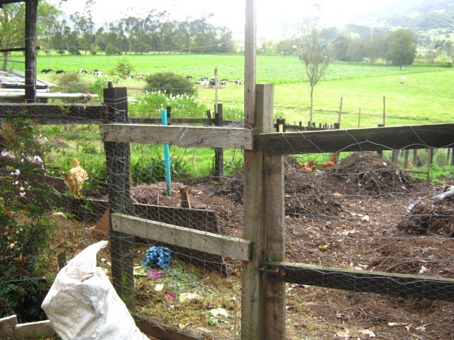 [Thumbnail for IMG_4253.jpg]