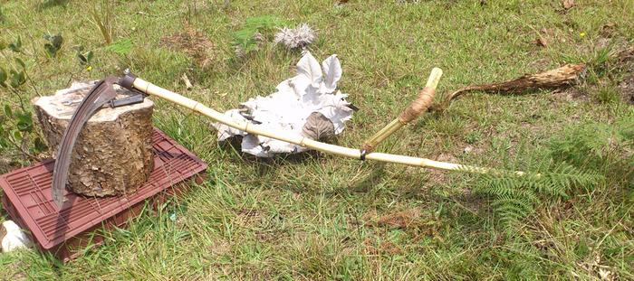 Scythe