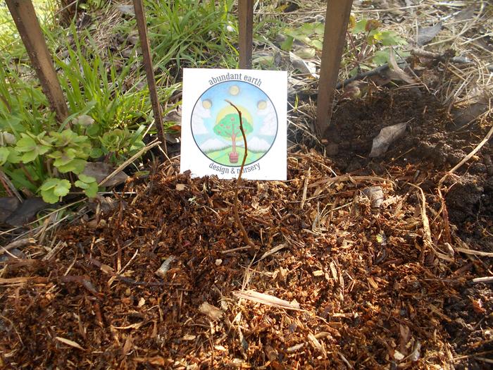 [Thumbnail for DSCN0346.JPG]