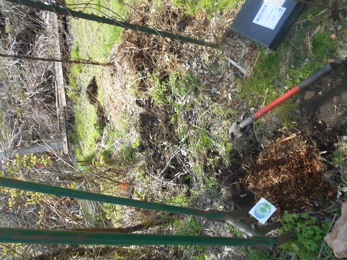 [Thumbnail for DSCN0347.JPG]